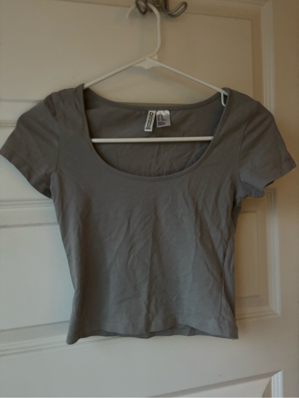 Divided Gray Scoop Neck Cropped Tee